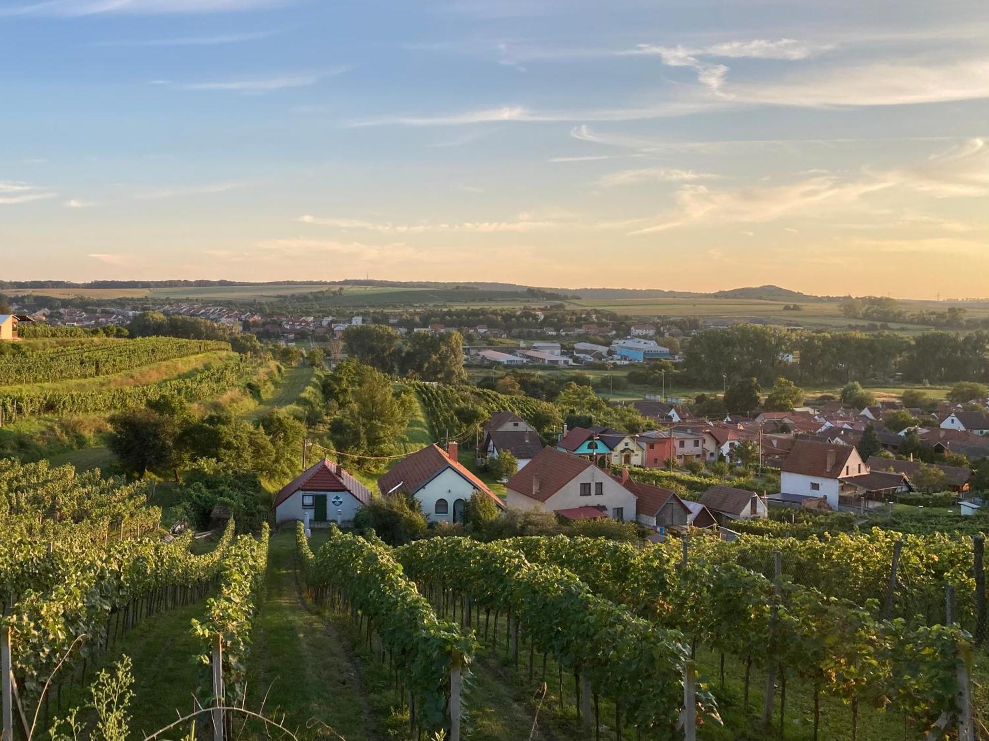 Pod Vinohradem - Apartmany & Vinne Sklepy Mutěnice Buitenkant foto